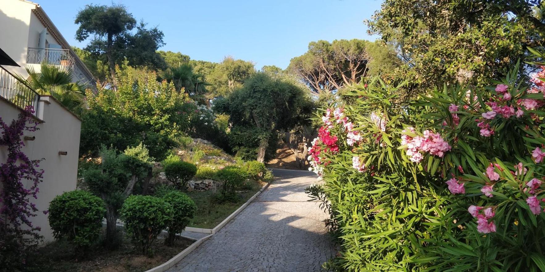 La Beluga Hotel Sainte-Maxime Bagian luar foto