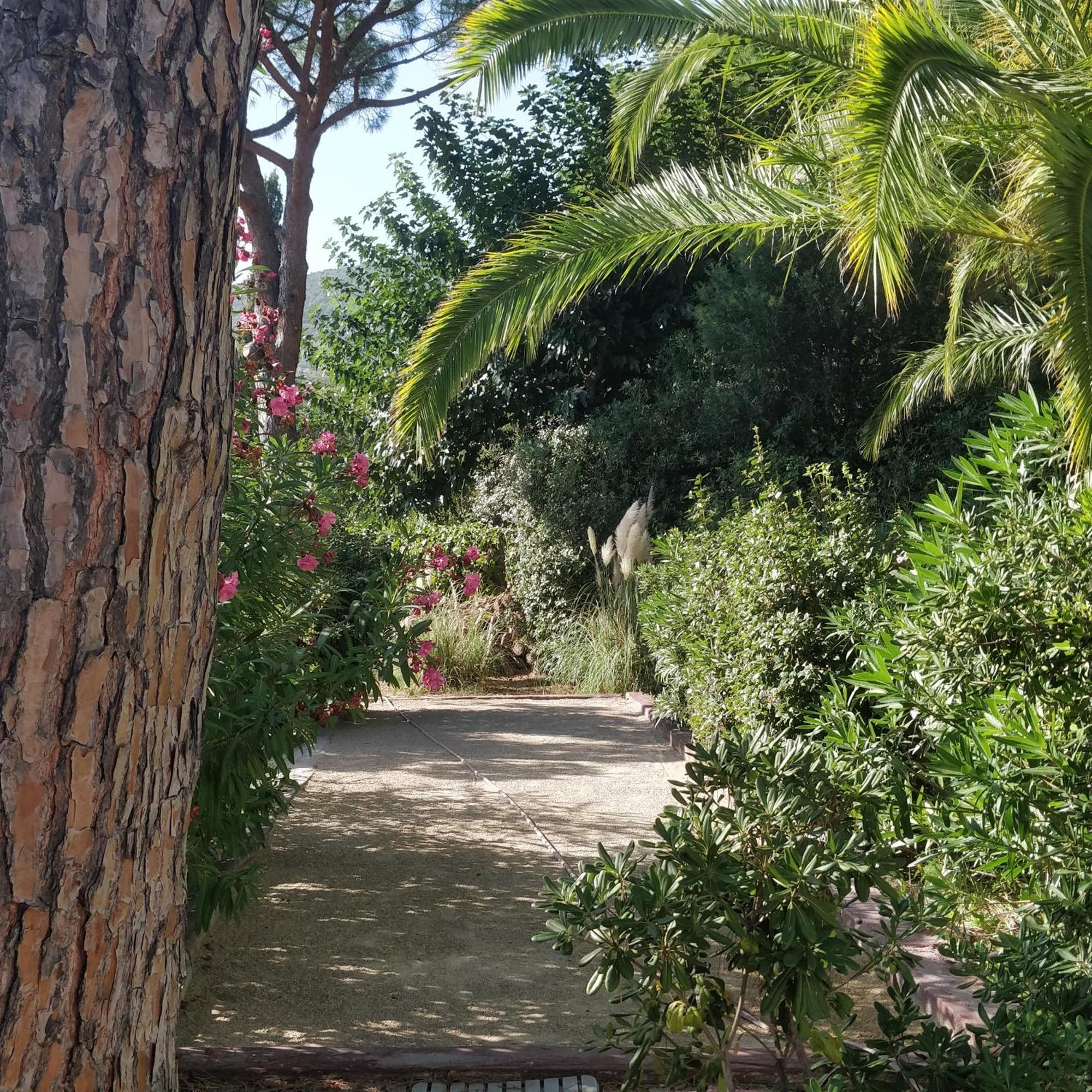 La Beluga Hotel Sainte-Maxime Bagian luar foto