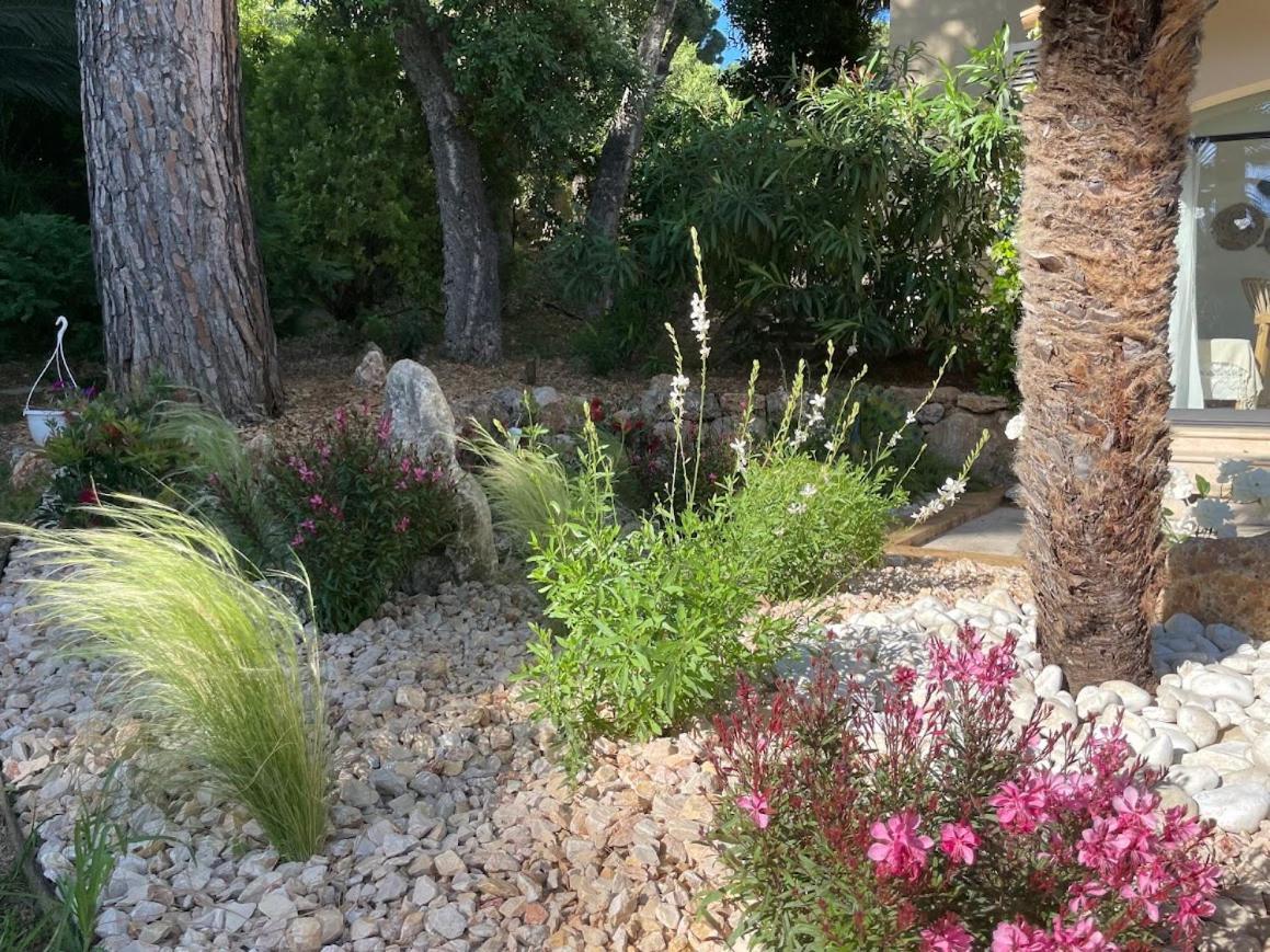 La Beluga Hotel Sainte-Maxime Bagian luar foto